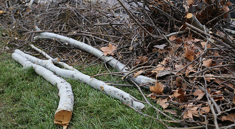 Happy Assured Junk Employee